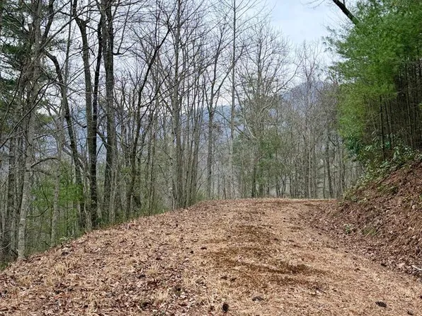 46 & 51 Big Secret Ln, Murphy, NC 28906