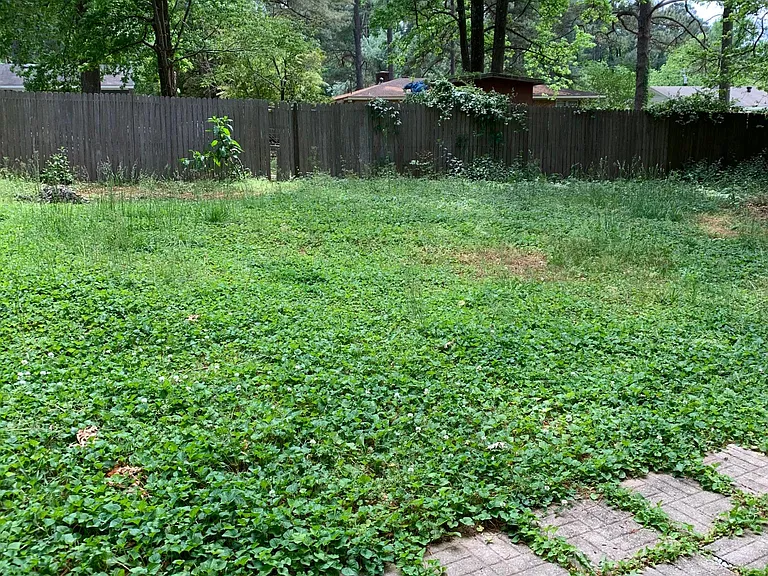 505 Locust Ln — Photo 11