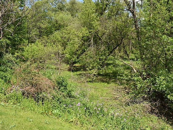 5th image of 13334 Dunham Rd