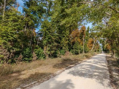NE 765th St, Old Town, FL, 32680