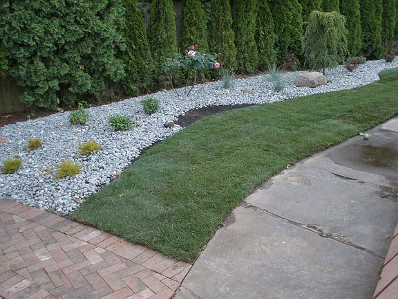 New landscaping - Back