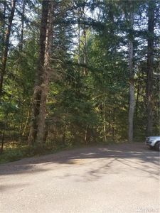 0 Loop Ln, Packwood, WA, 98361