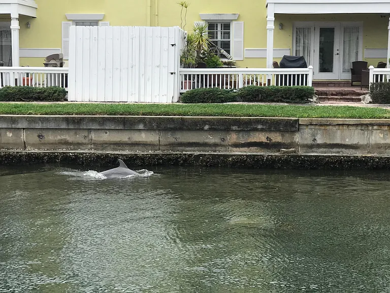 5121 Coquina Key Dr SE #A — Photo 29