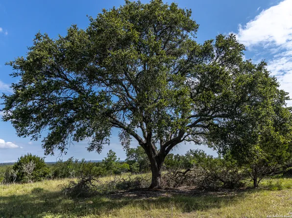 213 Roy Nichols Dr LOT 2, Blanco, TX 78606