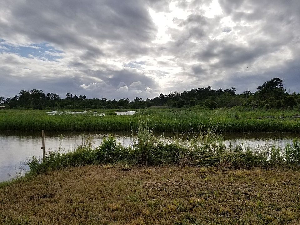 View of the river and swamp