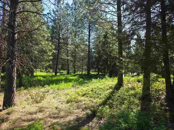 LOT 62 Old Mill Rd, McCloud, CA 96057