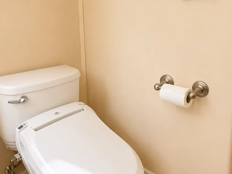 Japanese bidet