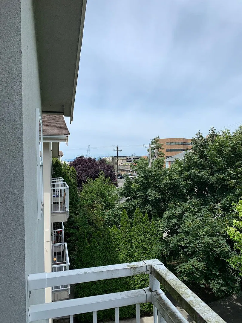 1531 — Photo 3