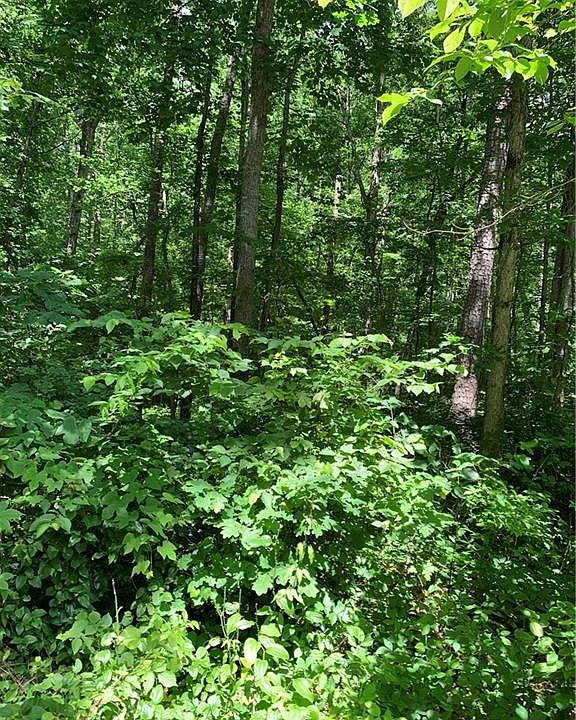 1st image of 1596 Darby Ford Ct Lot 19