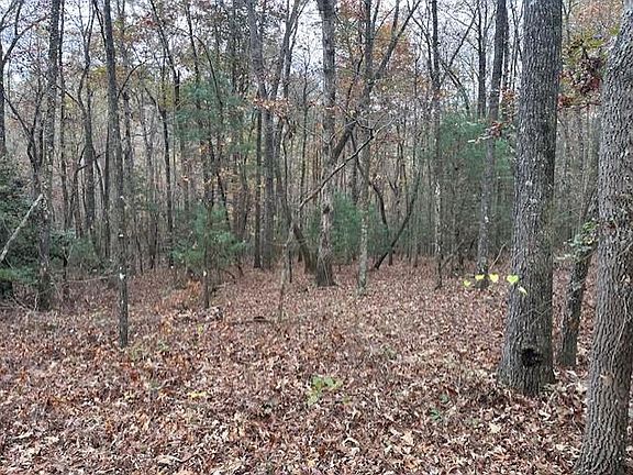 2nd image of LOT 11 Clear Creek Preserve Way