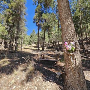 0 Black Forest Dr, Cloudcroft, NM, 88317