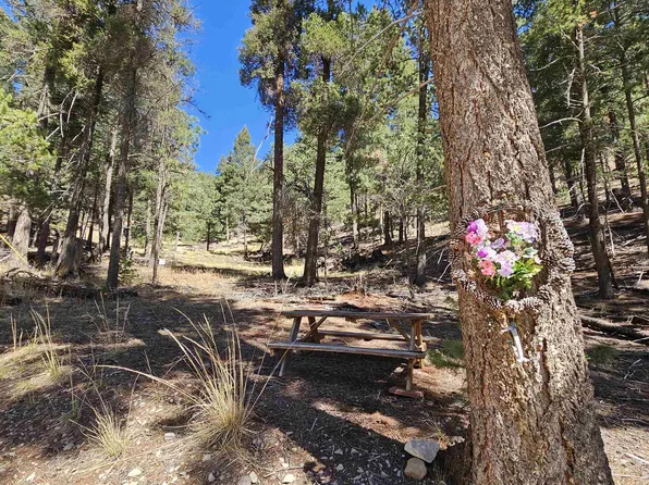 0 Black Forest Dr, Cloudcroft, NM 88317
