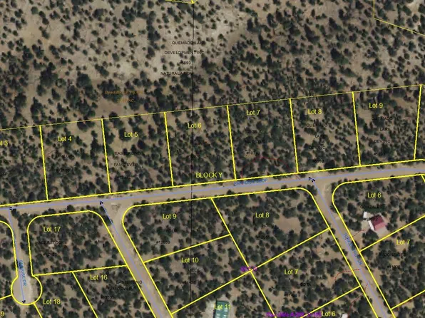 Y 6 Paradise Loop, Quemado, NM 87829