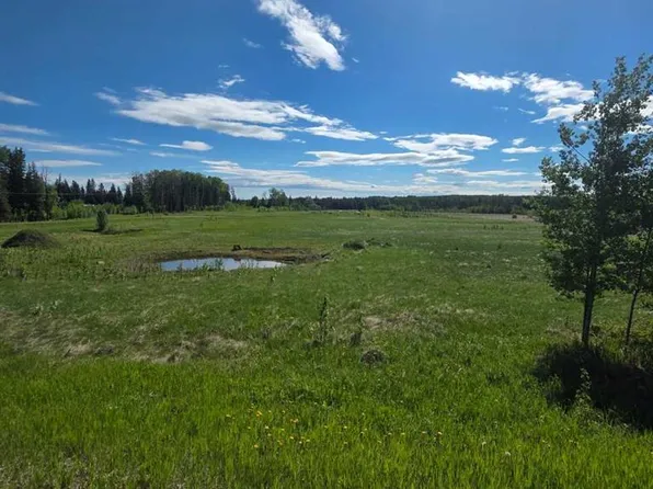 LOT 4 Range Road 175, Yellowhead County, AB T7E 3M4