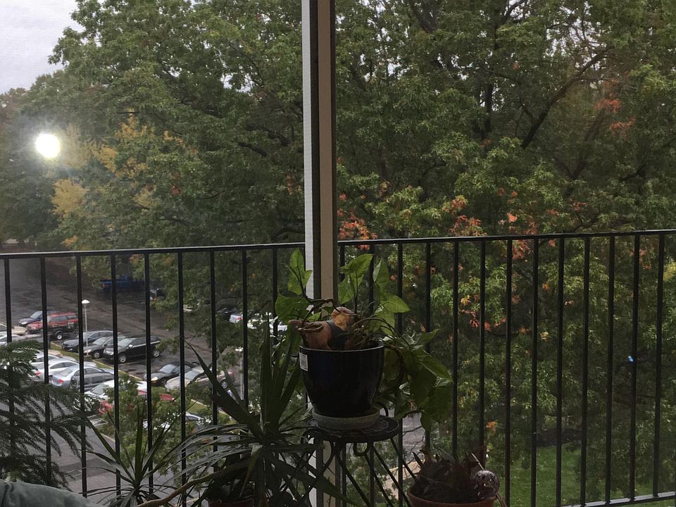 2nd image of 2331 E Market St APT 611