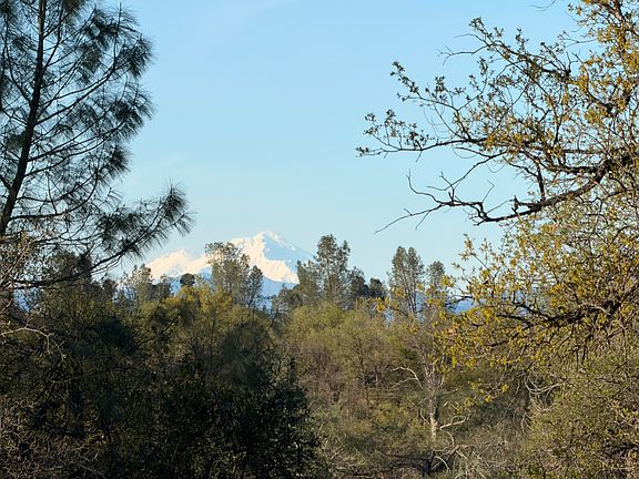 4th image of Olinda Rd