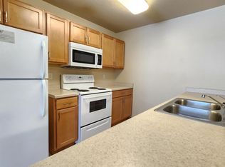 Hamilton 508 4th Street Southwest - 304, Rochester, MN 55902