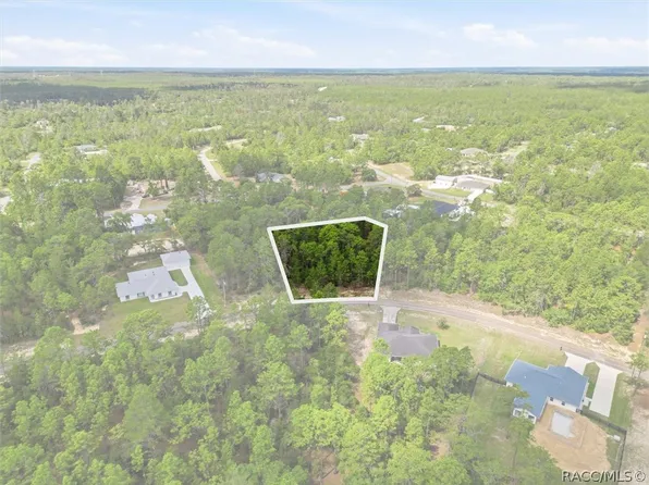 8726 N Ronda Dr, Citrus Springs, FL 34433