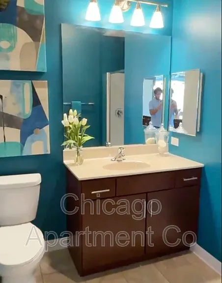 741 S Clark St #1010 — Photo 5