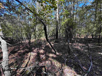 1406 Parkway Ln, Horseshoe Bend, AR, 72512