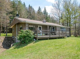7905 Straight Rd, Springwater, NY 14560