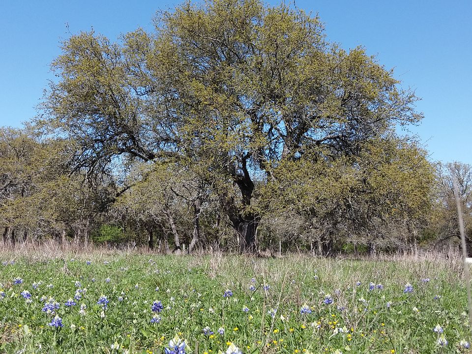 2nd image of 660 Indian Oaks