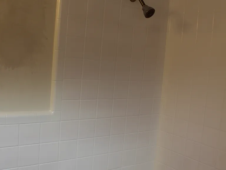 7957 Delmar Blvd #2 — Photo 12
