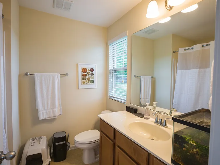 106 Mount Evans Dr — Photo 15