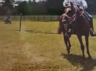 12971 SE 75th St, Morriston, FL 32668