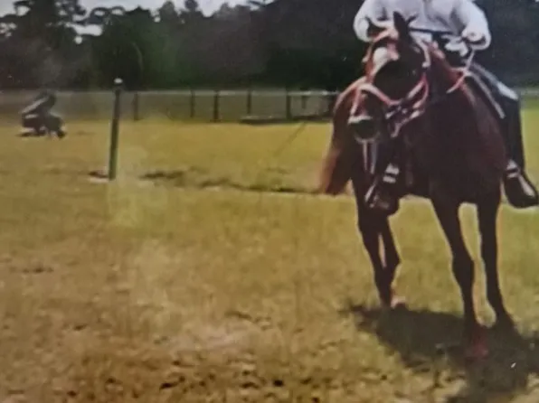 12971 SE 75th St, Morriston, FL 32668