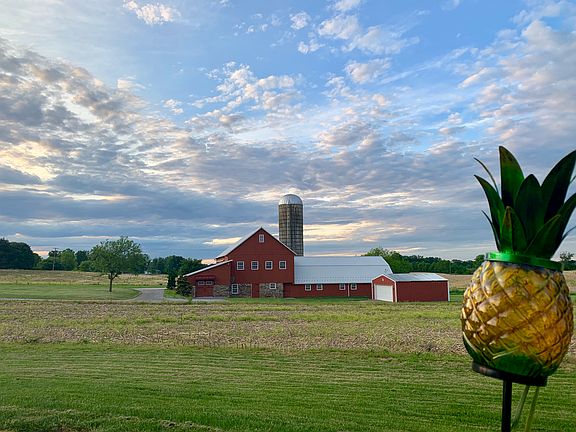 Back Yard View