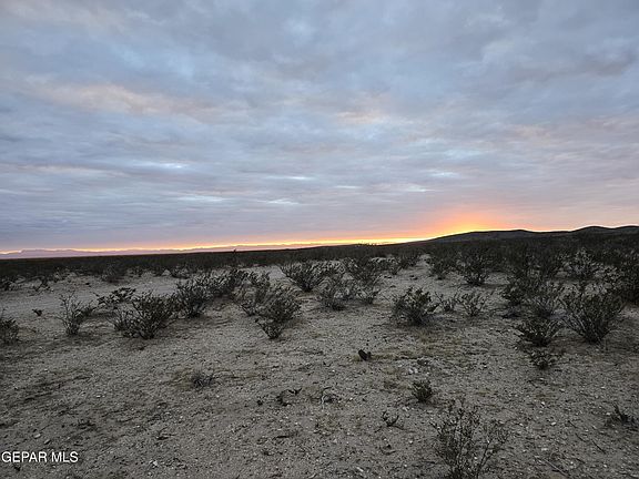 5th image of Pn #62697