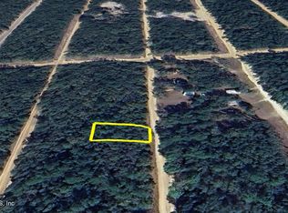 923 Neilsen Ave, Interlachen, FL 32148