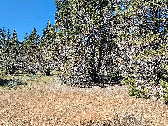 2nd image of 509-265 Stone Rd