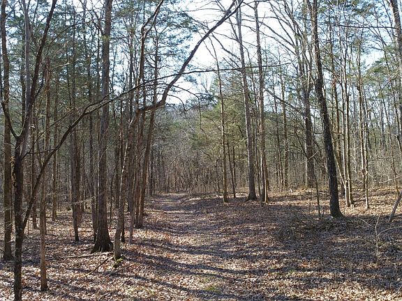 2nd image of 0 Buckingham Ln