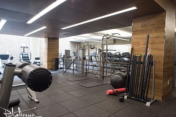 Rented by Platinum Properties | media 11