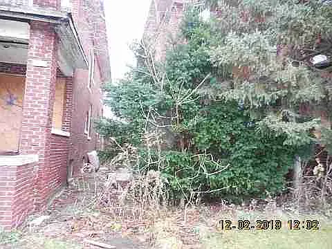 3319 Pingree