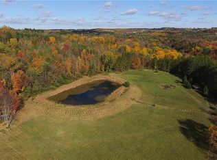 12713 Big Tree Rd, Wales Center, NY 14169