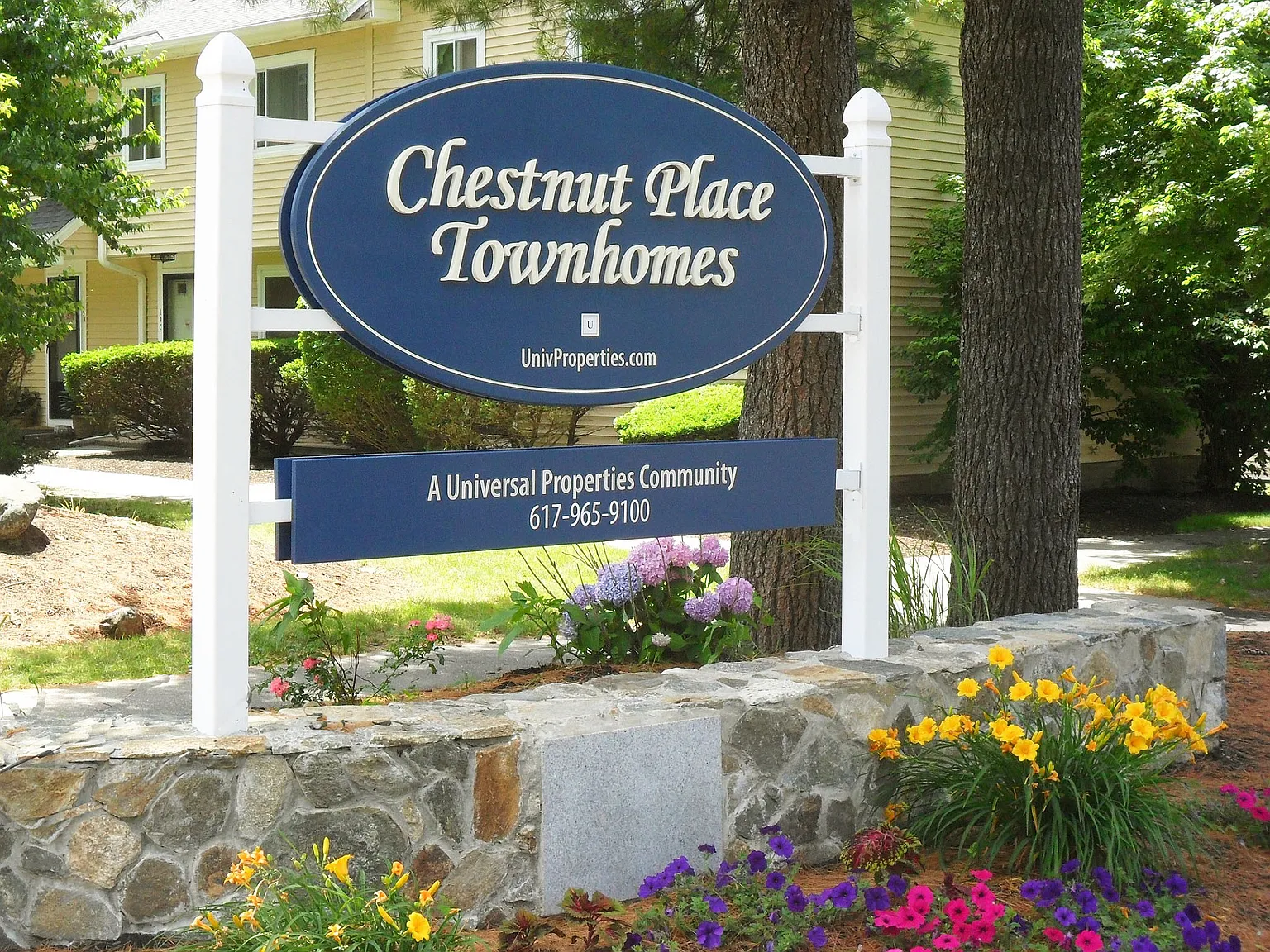 Chestnut Place Townhomes — Photo 1