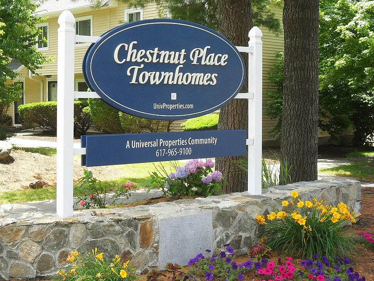 Chestnut Place Townhomes — Photo 1