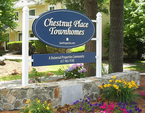 Chestnut Place Townhomes Photo 1