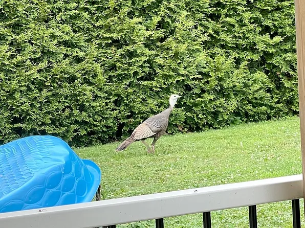 410 Darlington Rd, Beaver, PA 15009