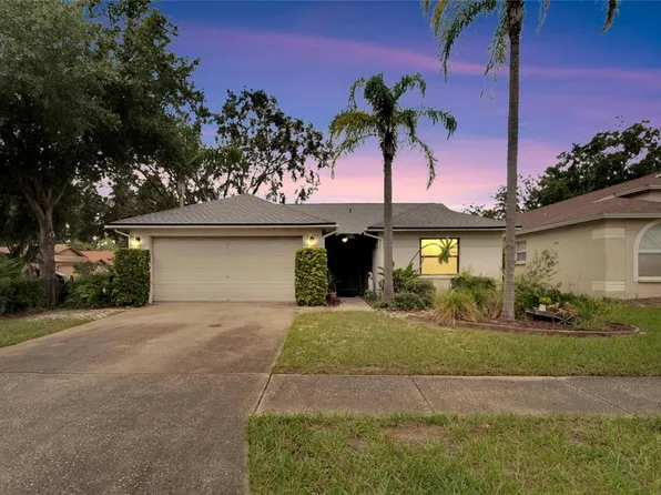 10228 Allenwood Dr, Riverview, FL 33569