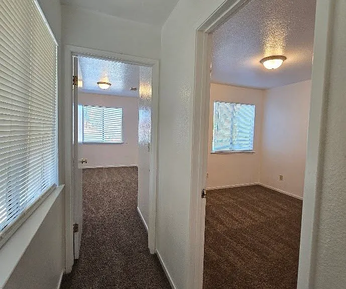 3318 W Shields Ave #201 — Photo 4