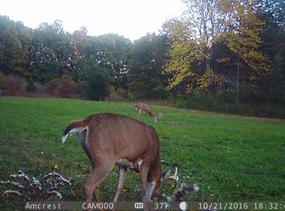 11311 Great Barrington, Holly, MI 48442