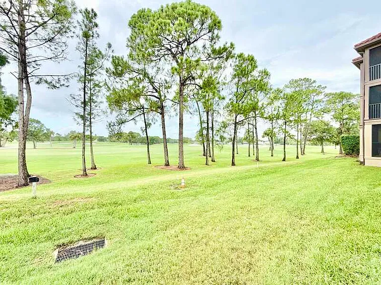 2400 Feather Sound Dr #417 — Photo 44