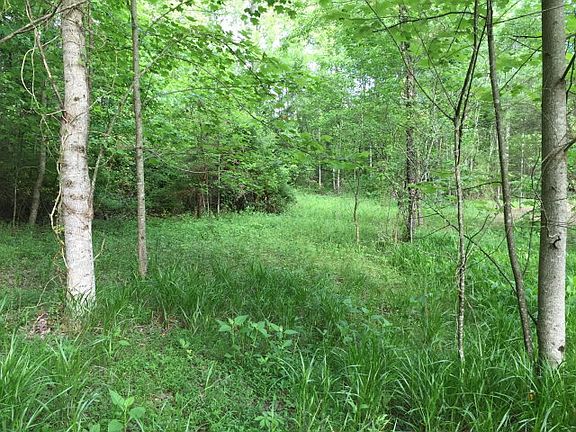 4th image of 16 Mill Brook Dr