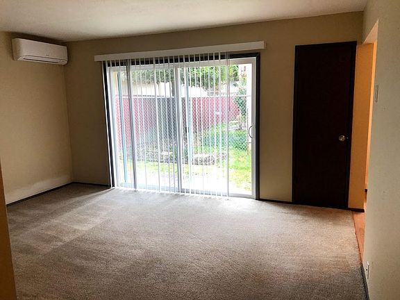 Living room with freshly shampooed carpet