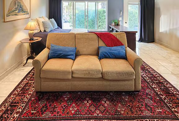 Living Room Area with pull out sofa