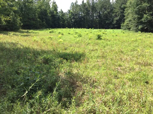 1 Swanner Bridge Rd, Rutledge, AL 36071